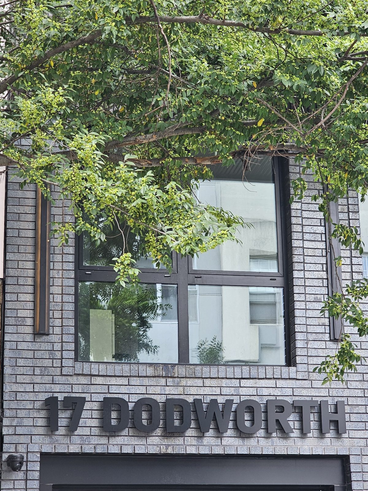 Cantilevered balconies at 17 Dodworth Street, Bushwick, Brooklyn, wrapped in flat dark panels on the fascia and soffit with frameless tempered-glass railings, floor-to-ceiling black aluminium glazing behind, and vertical ribbed panel cladding