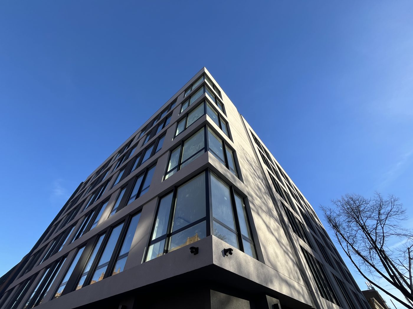 Ground-floor storefront and entrance in dark Alutech framing at 408 Lefferts Avenue