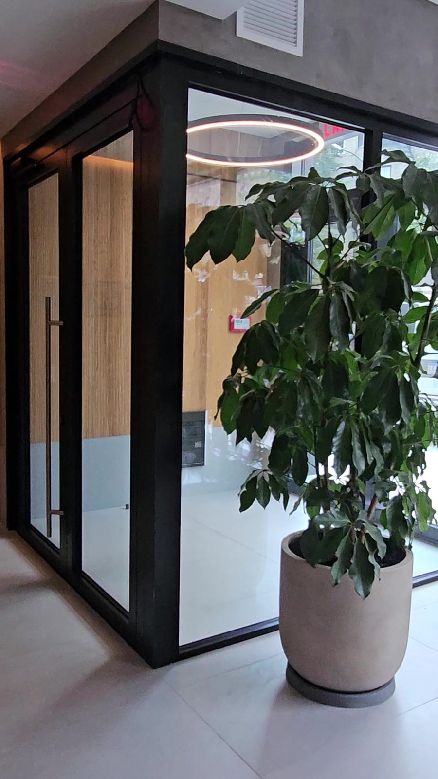 Glass entrance vestibule with black aluminum framing, a glazed corner and a pair of doors with full-height pull handles at 711 Franklin Avenue, Brooklyn